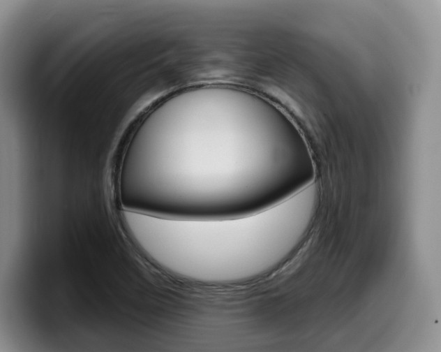 X0000099451458200805090718