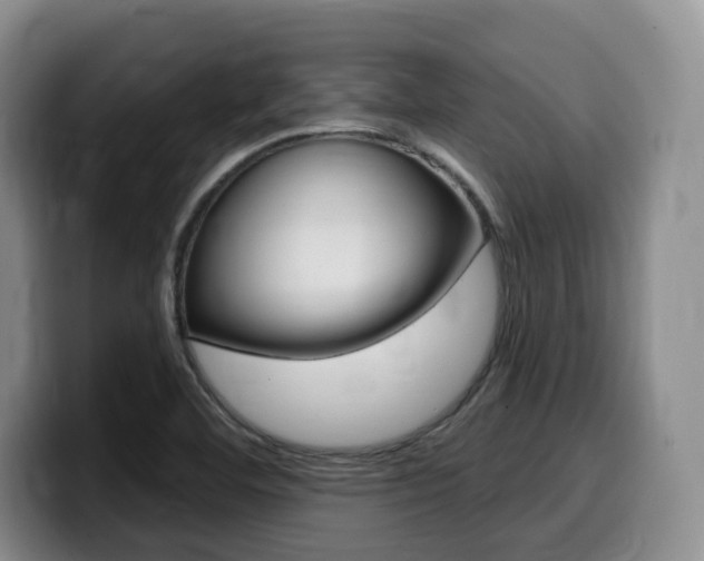 X0000099451460200805090718