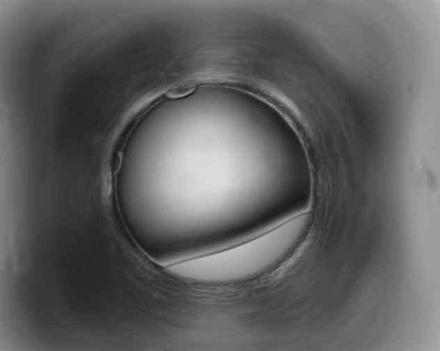 X0000099451461200805090718