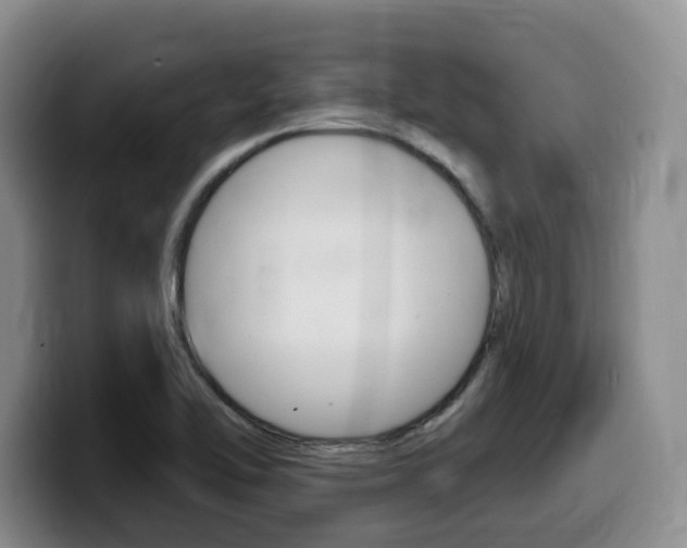 X0000099451462200805090718