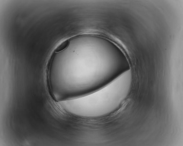 X0000099451463200805090718