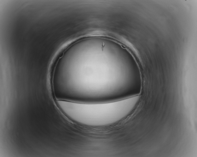 X0000099451464200805090718
