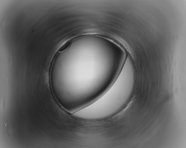 X0000099451465200805090718