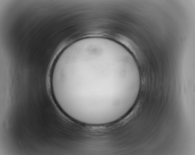 X0000099451466200805090718