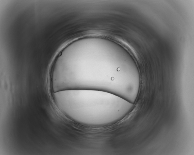 X0000099451467200805090718