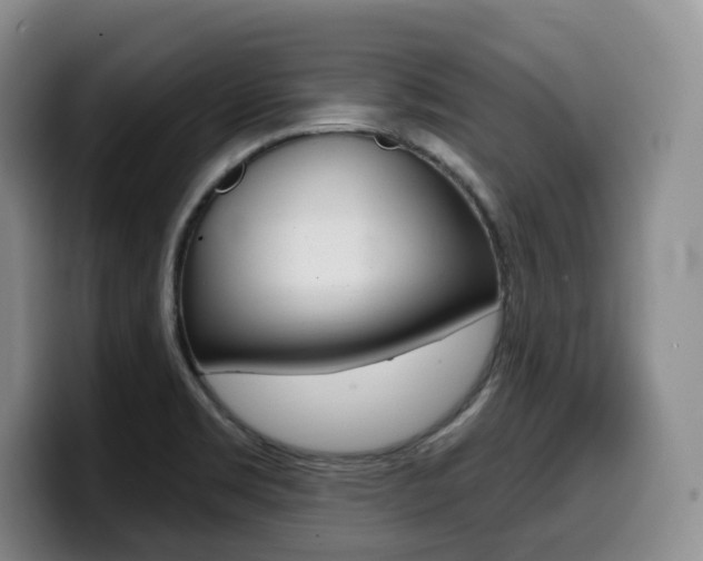 X0000099451469200805090718