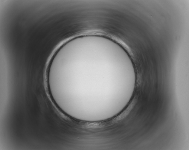 X0000099451470200805090718