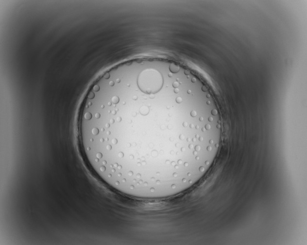 X0000099451471200805090718