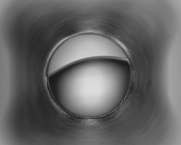 X0000099451476200805090717