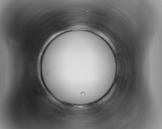 X0000099451478200805090717