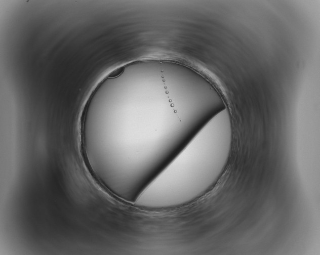 X0000099451479200805090717