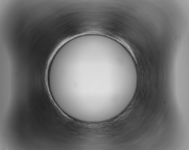 X0000099451480200805090717