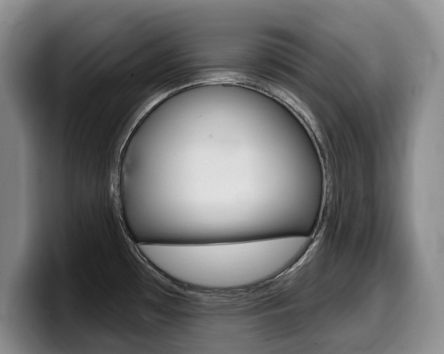 X0000099451481200805090717