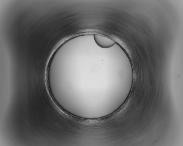 X0000099451482200805090717
