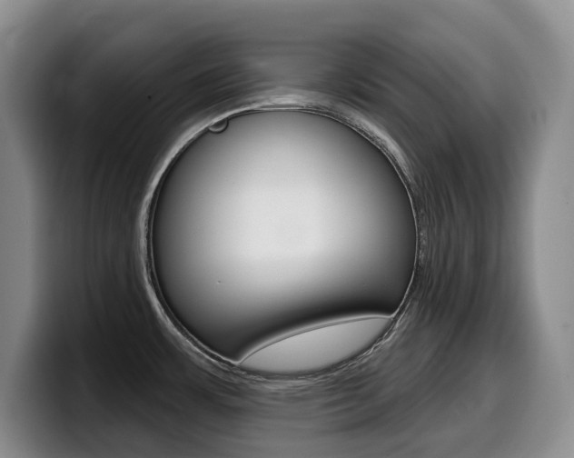 X0000099451483200805090717