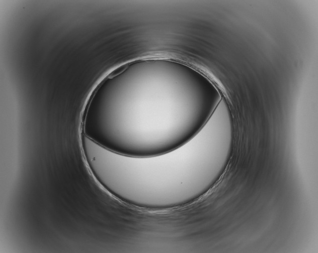 X0000099451484200805090717