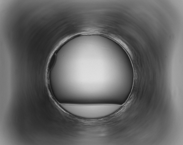 X0000099451485200805090717