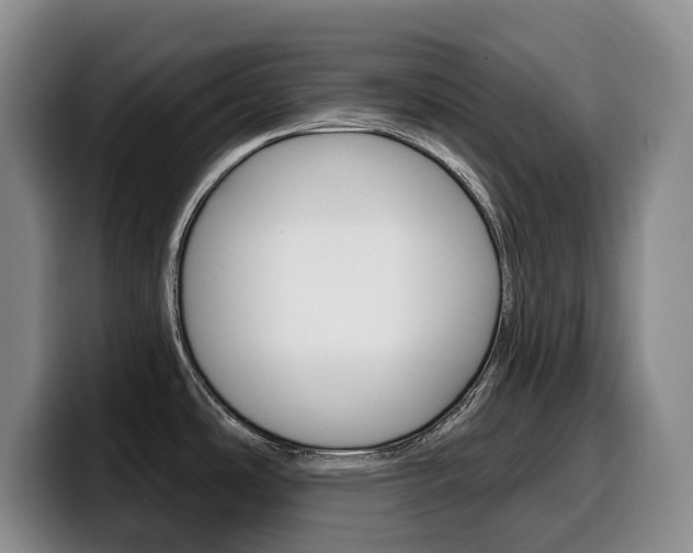 X0000099451486200805090717