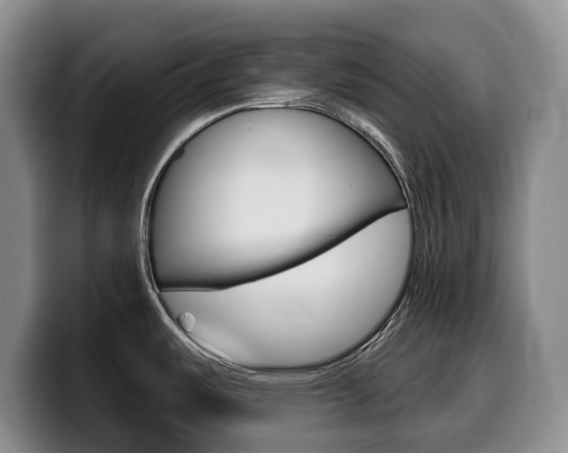 X0000099451487200805090717