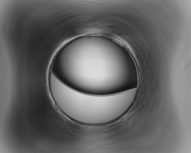 X0000099451488200805090717
