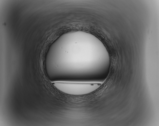 X0000099451489200805090717
