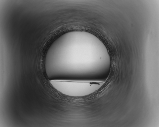 X0000099451490200805090717