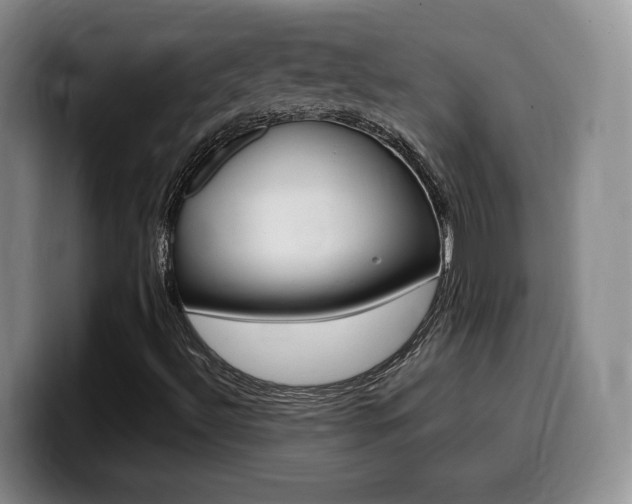 X0000099451492200805090717