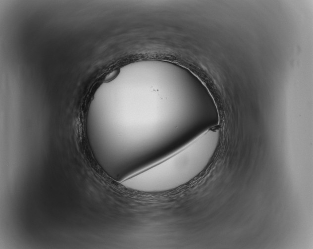 X0000099451493200805090717