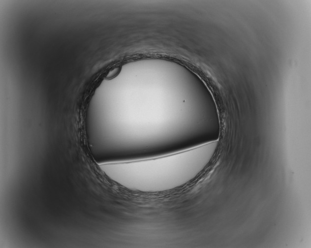X0000099451494200805090717