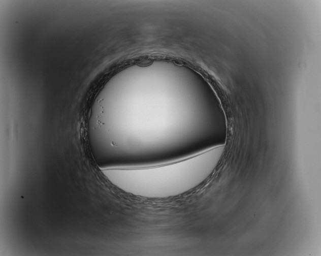 X0000099451495200805090717