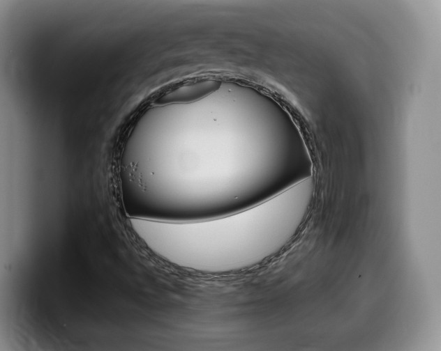 X0000099451496200805090717