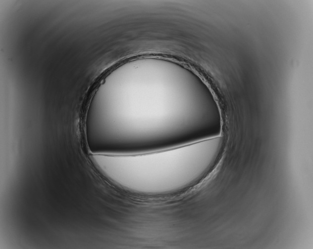 X0000099451497200805090717