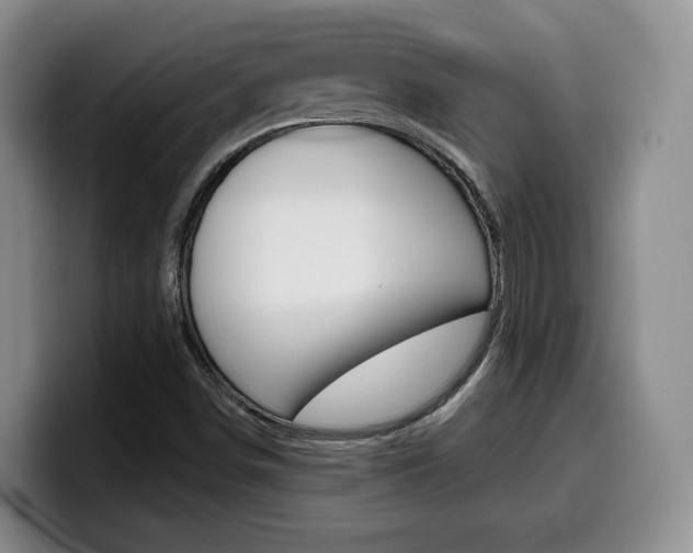 X0000099451498200805090717