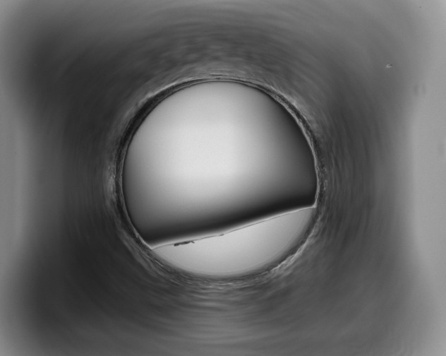 X0000099451499200805090717