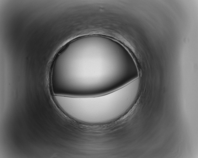 X0000099451500200805090717