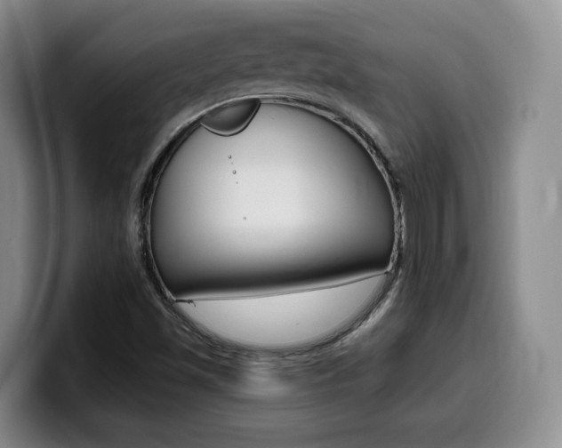X0000099451501200805090717