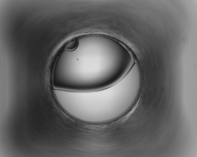 X0000099451502200805090717