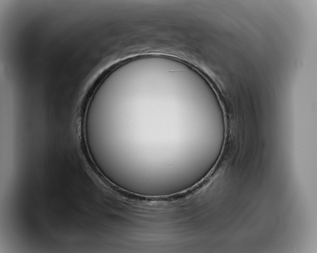 X0000099451503200805090717