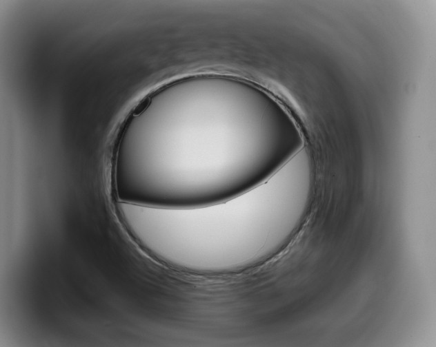 X0000099451504200805090717