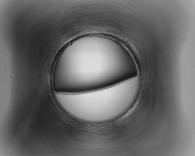 X0000099451505200805090717