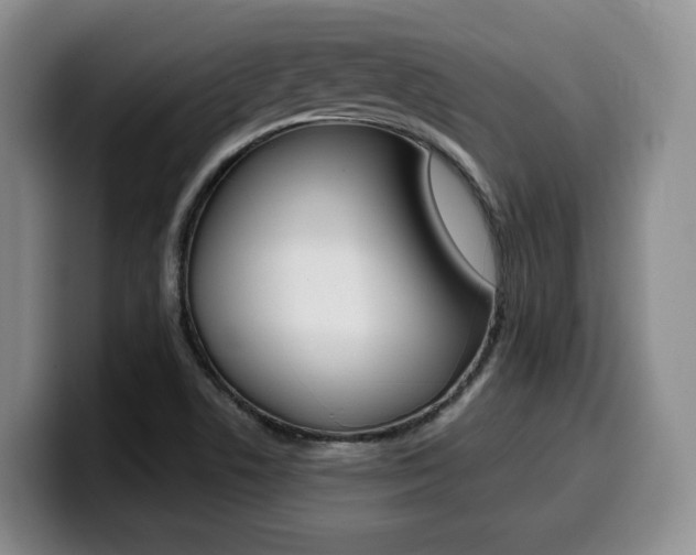 X0000099451506200805090717