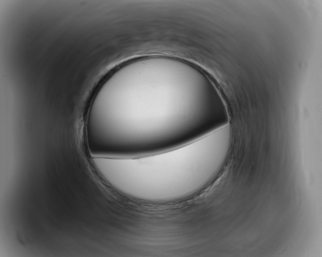 X0000099451507200805090717