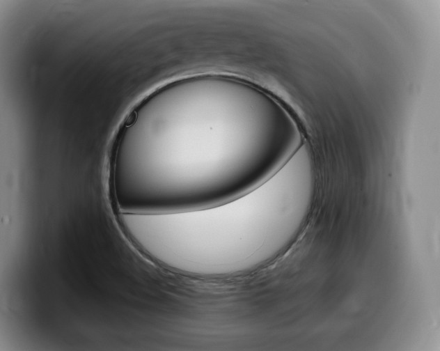 X0000099451508200805090717