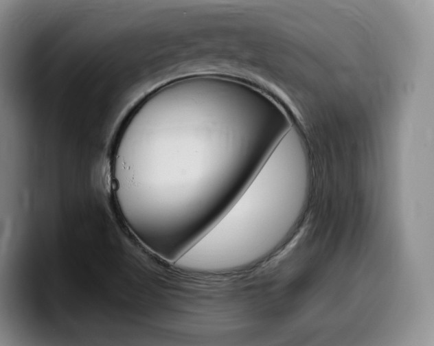 X0000099451509200805090717