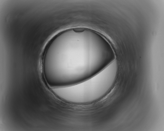 X0000099451510200805090717