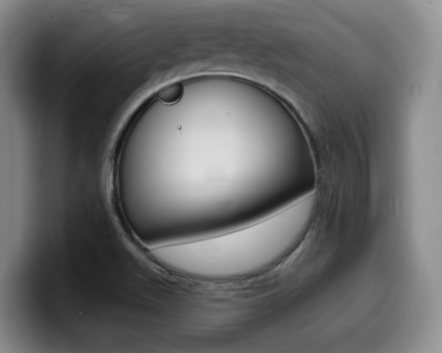 X0000099451511200805090717