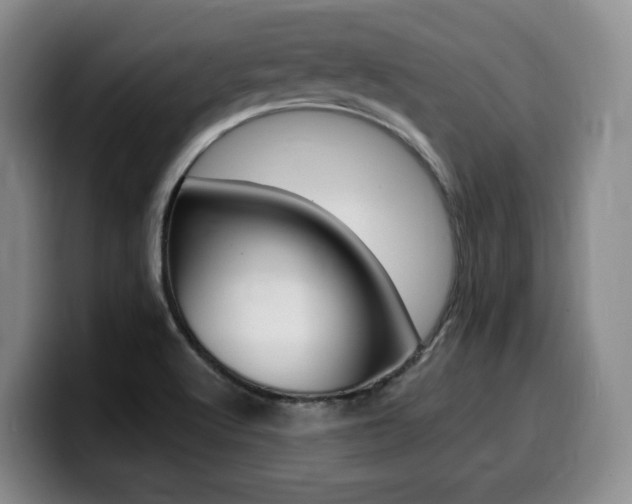 X0000099451512200805090717