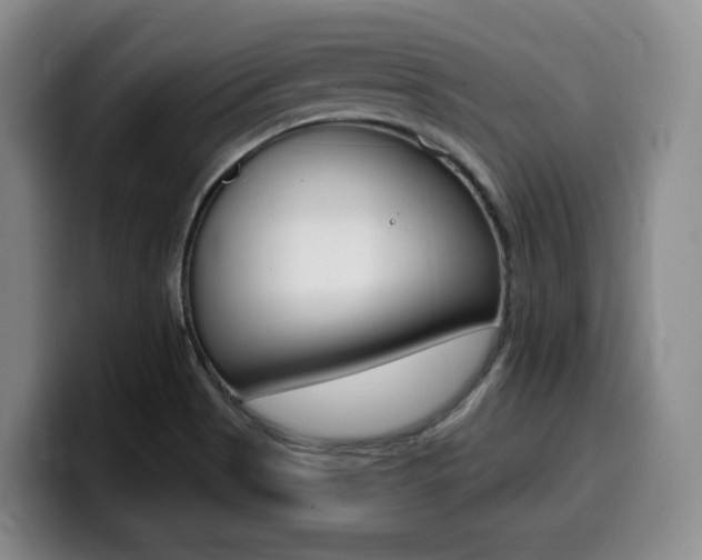 X0000099451513200805090717