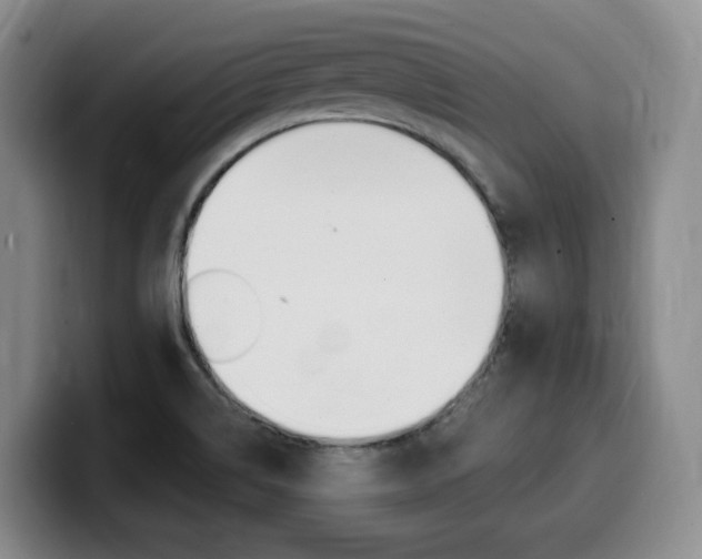X0000099451514200805090717