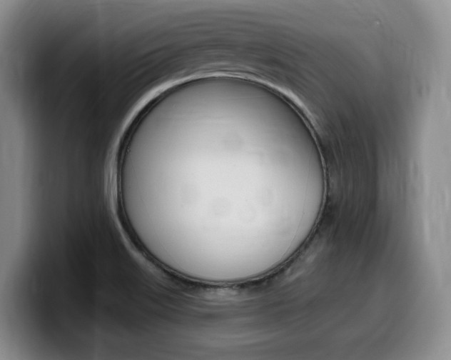 X0000099451515200805090717